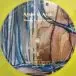 Arabs In Aspic - I-III (3 пластинки, Сборник, Лимитированое) - фото №27