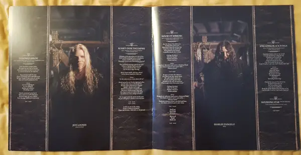 Arch Enemy - Deceivers (180 грамм, Альбом, Лимитированое) - фото №5