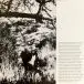 Kay Adams - Little Pink Mack (Pink, LP, Compilation, Mono) - фото №11