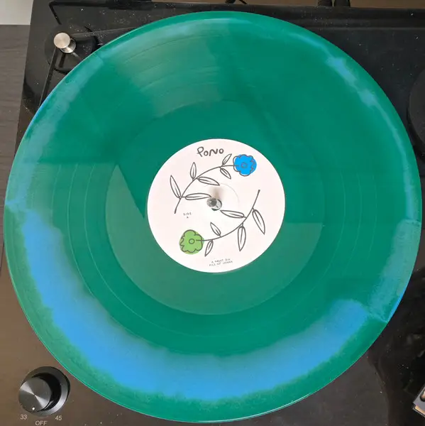 A Great Big Pile Of Leaves - Pono (LP, Repress) - фото №3
