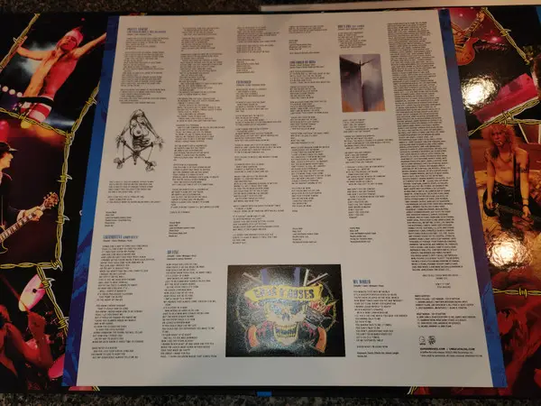 Guns N' Roses - Use Your Illusion I & II (12 платівок, Збірник, Deluxe видання, Лимітоване, Перевидання, Ремастеринг) - фото №23