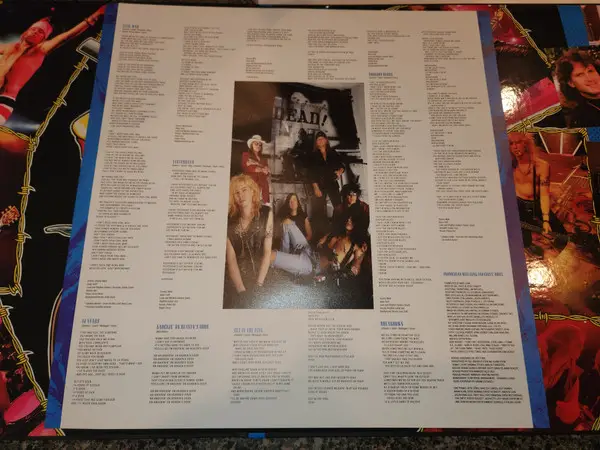 Guns N' Roses - Use Your Illusion I & II (12 платівок, Збірник, Deluxe видання, Лимітоване, Перевидання, Ремастеринг) - фото №22
