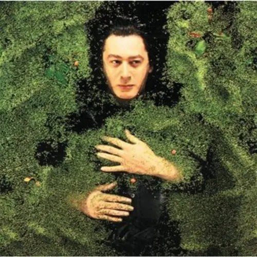 Alain Bashung - Fantaisie Militaire (Альбом, Перевидання)