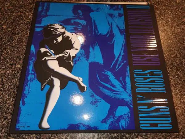 Guns N' Roses - Use Your Illusion I & II (12 платівок, Збірник, Deluxe видання, Лимітоване, Перевидання, Ремастеринг) - фото №19