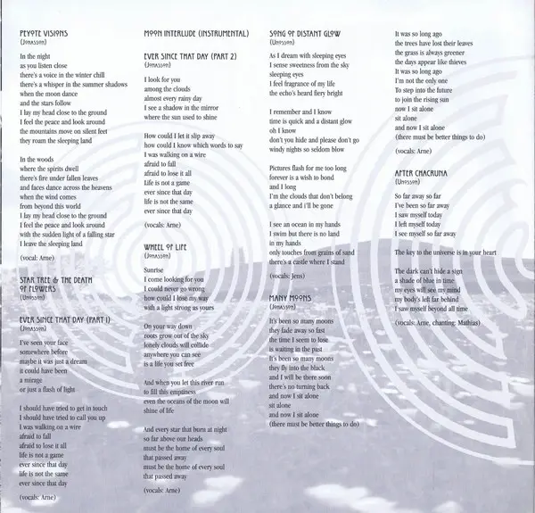 Holy River Family Band - Welcome To Riverhouse... An Abbreviated Journey (LP, Album, Stereo) - фото №4