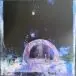 Daughter - Not To Disappear (LP, Album) - фото №6