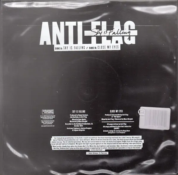 Anti-Flag - Sky Is Falling (Нестандартной формы, Сингл, Лимитированое, Пластинка с изображением) - фото №3