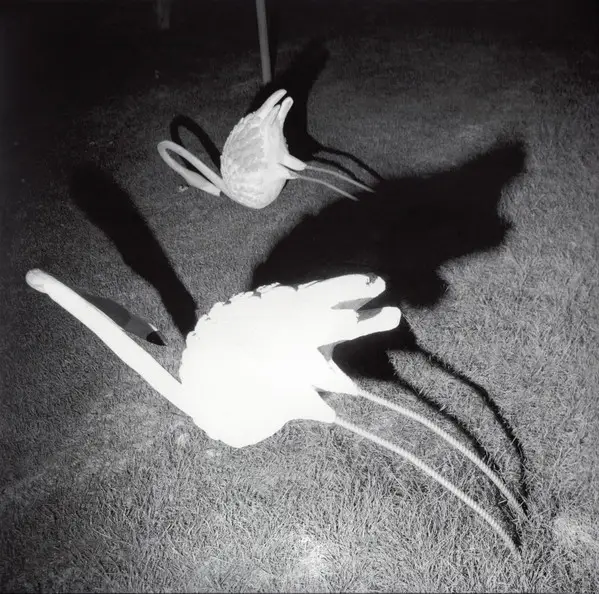 Siavash Amini - A Mimesis Of Nothingness  (Белый, Альбом)