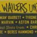 Alborosie & The Wailers Band - Unbreakable (2 платівки) - фото №3