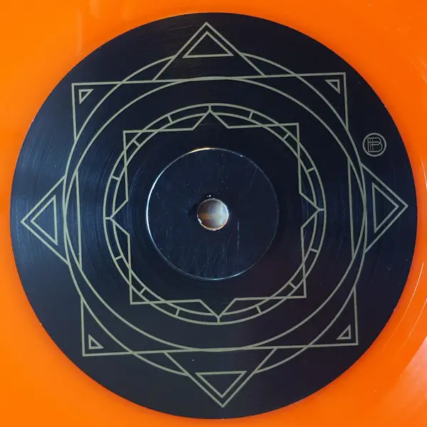 Abel Ganz - The Life Of The Honeybee & Other Moments Of Clarity (Orange, LP, Album, Stereo) - фото №2