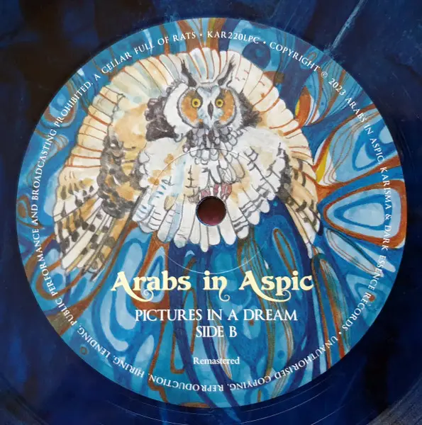 Arabs In Aspic - Pictures In A Dream (Ремикс, 180 грамм, Синий, Чёрный, Альбом, Переиздание, Ремастеринг) - фото №7