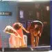 ABC - The Lexicon Of Love (40th Anniversary Edition) (4 платівки, Album, Reissue) - фото №5