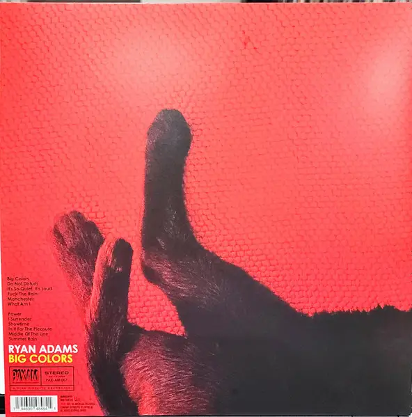 Ryan Adams - Big Colors (2 пластинки, Red, LP, Album) - фото №3