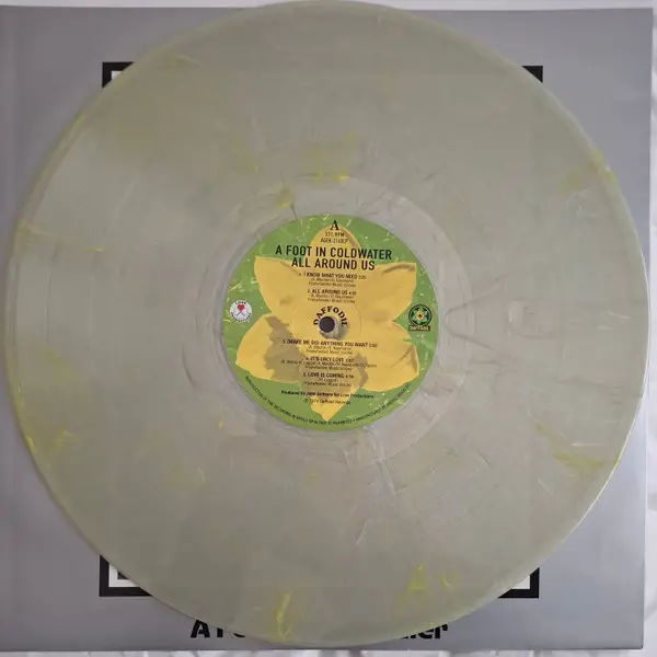 A Foot In Coldwater - All Around Us (LP) - фото №4