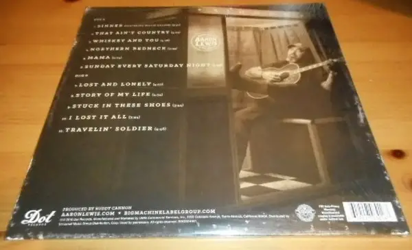 Aaron Lewis - Sinner (Gatefold, LP, Album) - фото №3