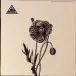 Ancient Shapes - A Flower That Wouldn’t Bloom (Альбом, Лимитированое) - фото №2