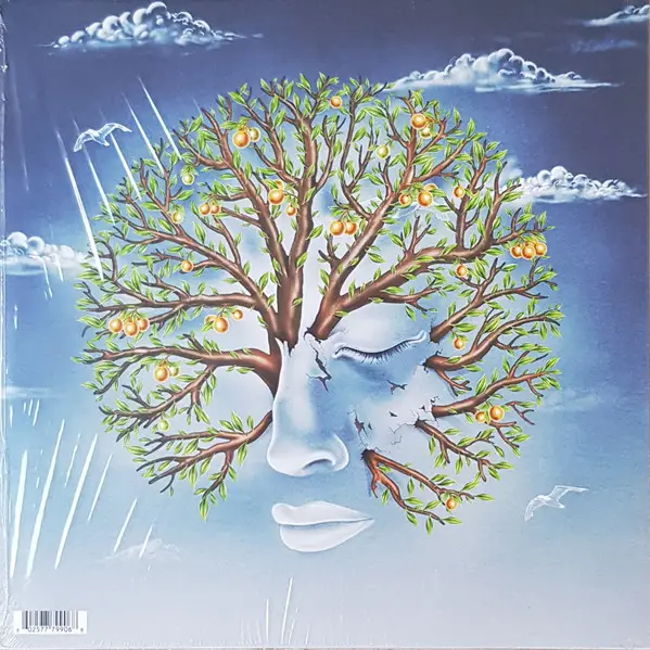 Another Sky - Forget Yourself EP / Life Was Coming In Through The Blinds EP (45 об/мин, EP) - фото №2