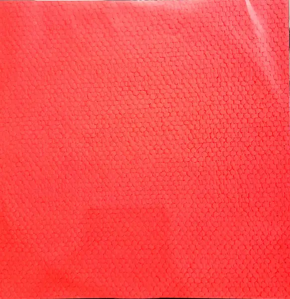 Ryan Adams - Big Colors (2 пластинки, Red, LP, Album) - фото №4