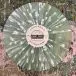 A Great Big Pile Of Leaves - You're Always On My Mind (Mint, Splatter, LP, Album) - фото №4