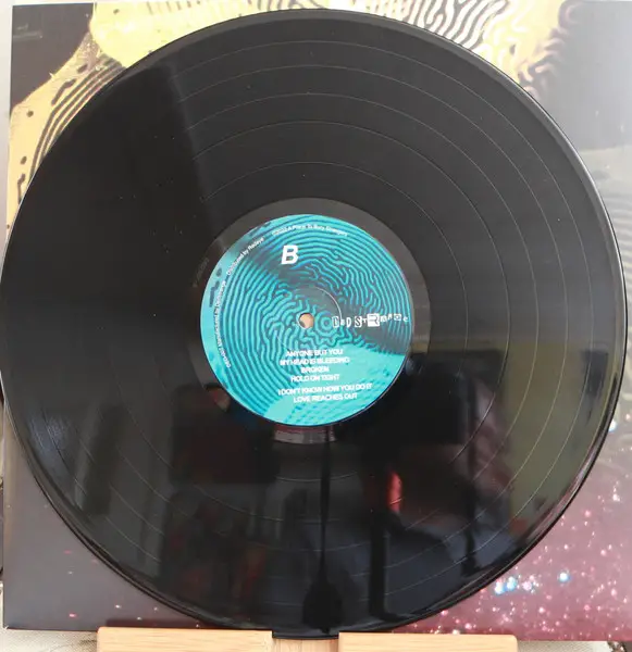 A Place To Bury Strangers - See Through You  (LP, Album) - фото №6