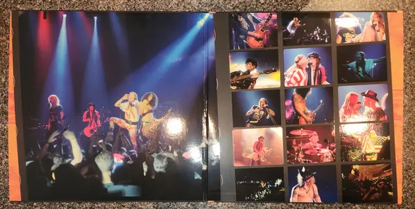 Guns N' Roses - Use Your Illusion I & II (12 платівок, Збірник, Deluxe видання, Лимітоване, Перевидання, Ремастеринг) - фото №30