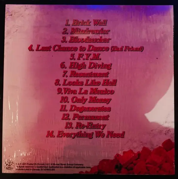 A Day To Remember - You're Welcome (LP) - фото №2