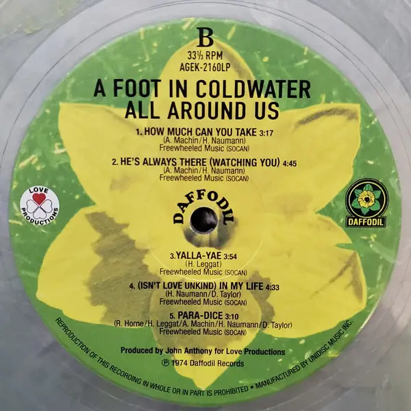 A Foot In Coldwater - All Around Us (LP) - фото №3