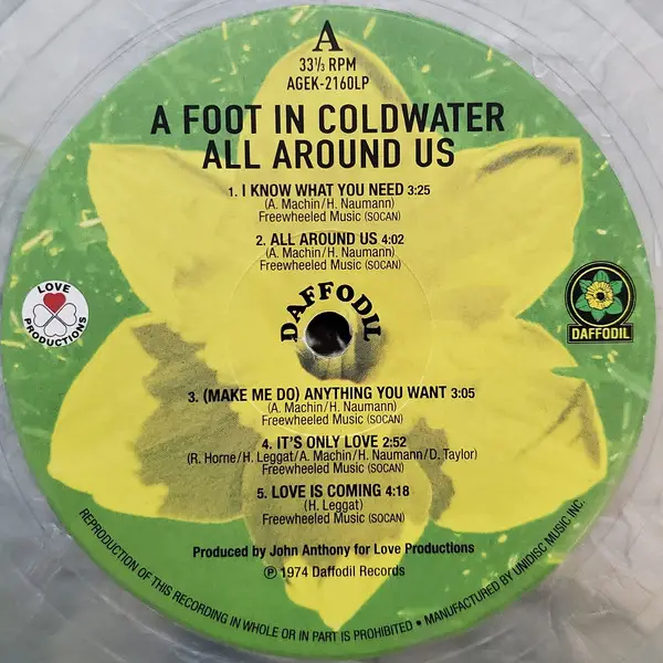 A Foot In Coldwater - All Around Us (LP) - фото №2