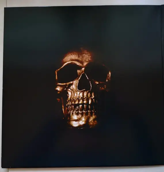 Acârash - Descend To Purity (LP, Album) - фото №2