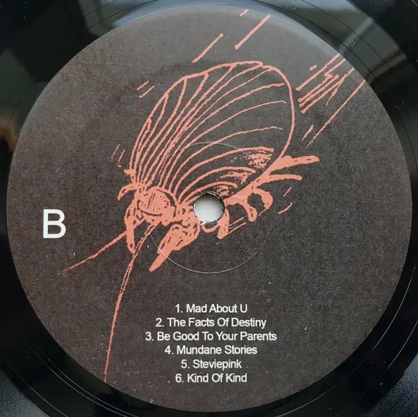 Ariel Pink's Haunted Graffiti - Odditties Sodomies Vol. 3 (Сборник) - фото №5