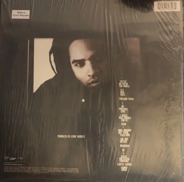 Lenny Kravitz - Let Love Rule (2 пластинки, LP, Album, Reissue) - фото №2