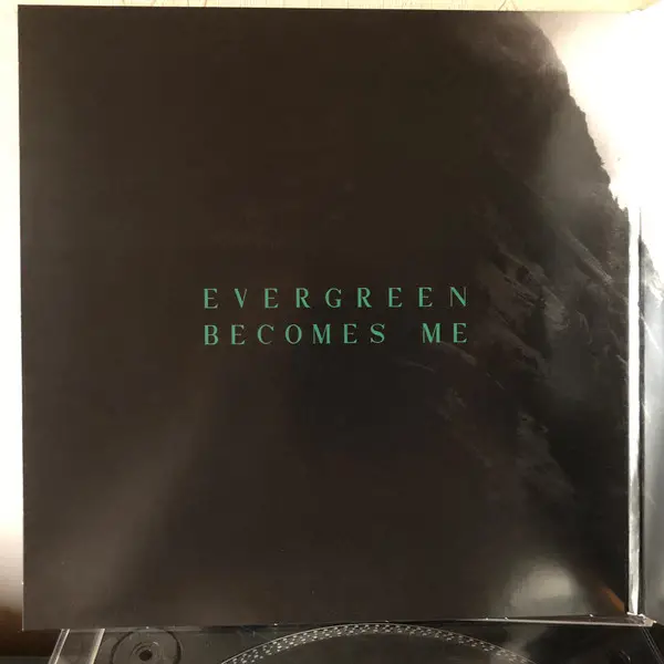 After The Burial - Evergreen (Black, Transparent, Green, LP, Album) - фото №3