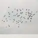 Marja Ahti & Judith Hamann - A Coincidence Is Perfect, Intimate Attunement - фото №2