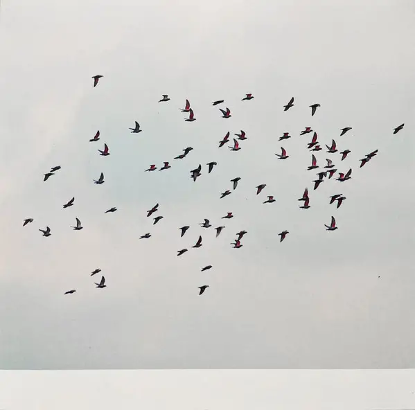 Marja Ahti & Judith Hamann - A Coincidence Is Perfect, Intimate Attunement - фото №2