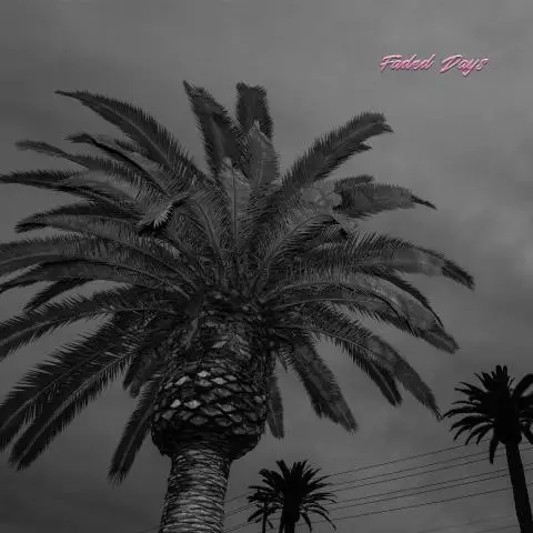 Actual Wolf - Faded Days (LP, Album)