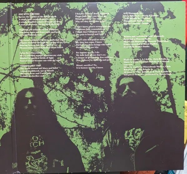 Acid Mammoth - Supersonic Megafauna Collision (Half, Transparent, Green, Black, Red, Splatter, LP, Album) - фото №6