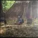 Animal Collective - Meeting Of The Waters (33 ⅓ об/мин, EP, Record Store Day, Лимитированое) - фото №4