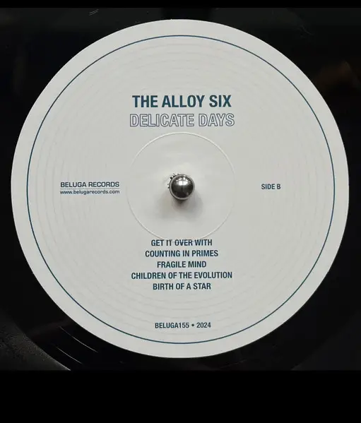 The Alloy Six - Delicate Days - фото №4