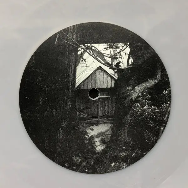Ancestors - Invisible White (Белый, EP) - фото №6