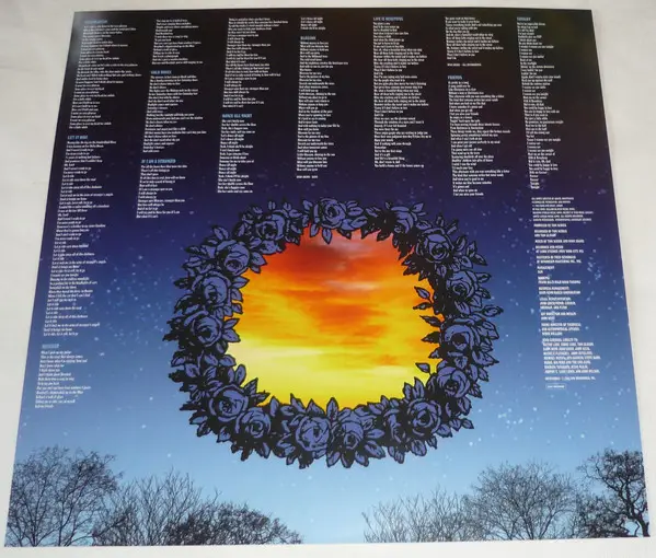 Ryan Adams & The Cardinals - Cold Roses (2 платівки, Gatefold, LP, Album) - фото №8