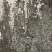 Arca - Forces (Thirteen Pictures Inspired By People Involved In Conflict Zones All Arond The Mediterranean Sea) (Альбом) - фото №6
