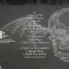 Avenged Sevenfold - Waking The Fallen (2 платівки, Золотий, Ювілейне видання до 20-річчя, Альбом, Лимітоване, Перевидання) - фото №2