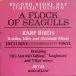 A Flock Of Seagulls - Rare Birds (B-Sides, Edits & Alternate Mixes) (Transparent, LP, Compilation, Stereo) - фото №7