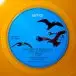 A Flock Of Seagulls - A Flock Of Seagulls (Orange, LP, Album, Reissue, Remastered, Stereo) - фото №3
