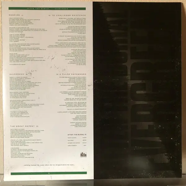 After The Burial - Evergreen (Black, Transparent, Green, LP, Album) - фото №6