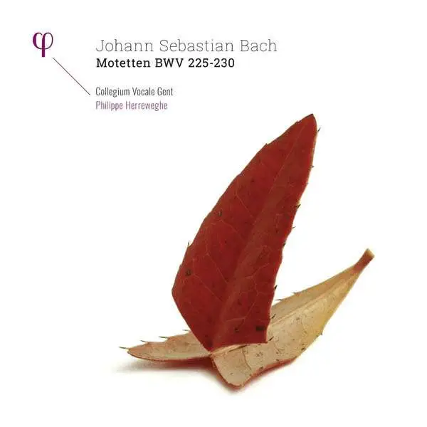 Johann Sebastian Bach & Collegium Vocale & Philippe Herreweghe - Motetten BWV 225 - 230 (2 пластинки, Альбом)