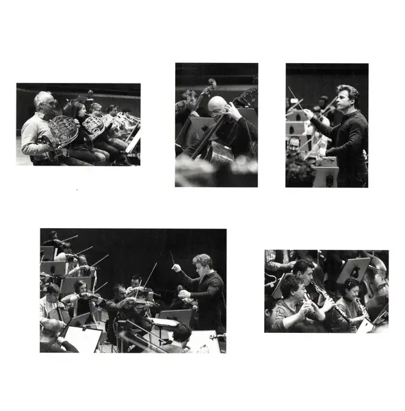 Antonín Dvořák & Bamberger Symphoniker & Jakub Hrůša - Symphony No. 9 In E Minor, Op. 95 'From The New World' (3 пластинки, 140 грамм, 45 об/мин, Лимитированое, Пронумерованный) - фото №25