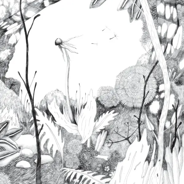 Back And Forth - Time Whispers