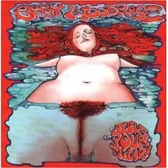 Baby Woodrose - Blows Your Mind! (Альбом, Лимитированое, Переиздание)