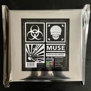 Simulation Theory
